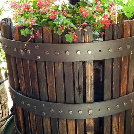 Relais Profumo Di Vino Borgomanero