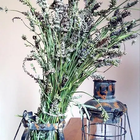 Relais Profumo Di Vino 3* Borgomanero