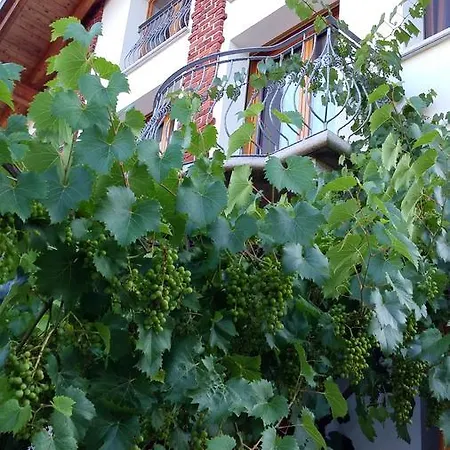 Relais Profumo Di Vino 博尔戈马内罗