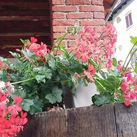 Bed and breakfast Relais Profumo Di Vino