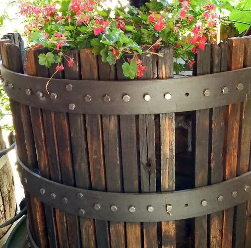 Relais Profumo Di Vino Borgomanero